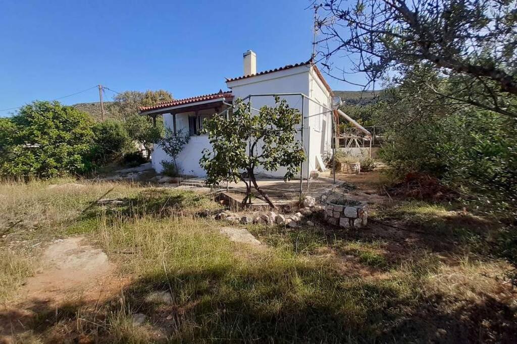 Elafonisos Detached House In Quiet Olive Grove, Starlink Internet & Smart Projector! Villa ภายนอก รูปภาพ